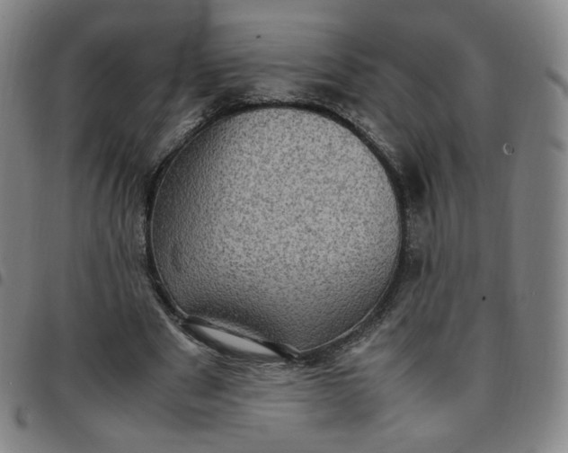 X0000097500489200803071806