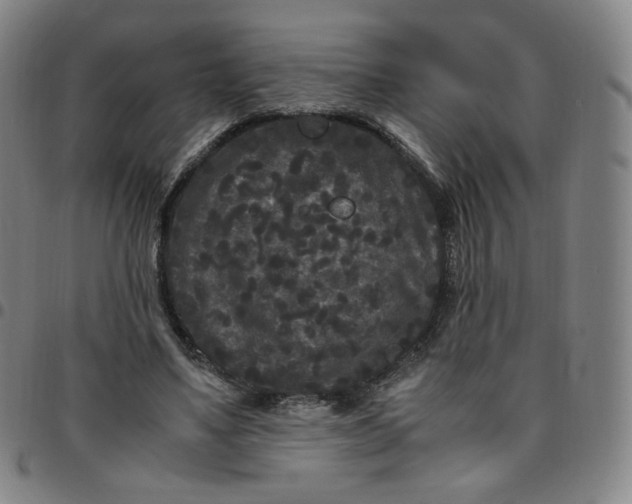 X0000097500491200803071805