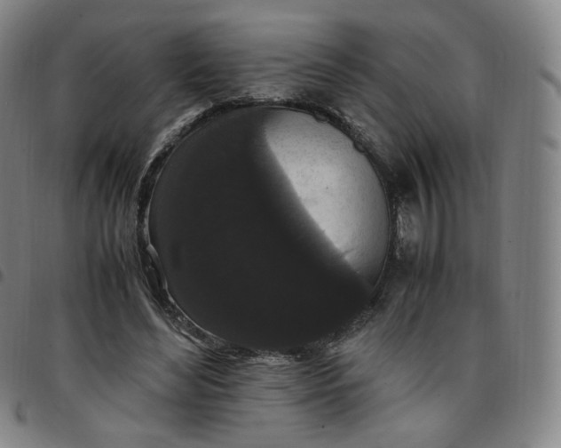 X0000097500492200803071805