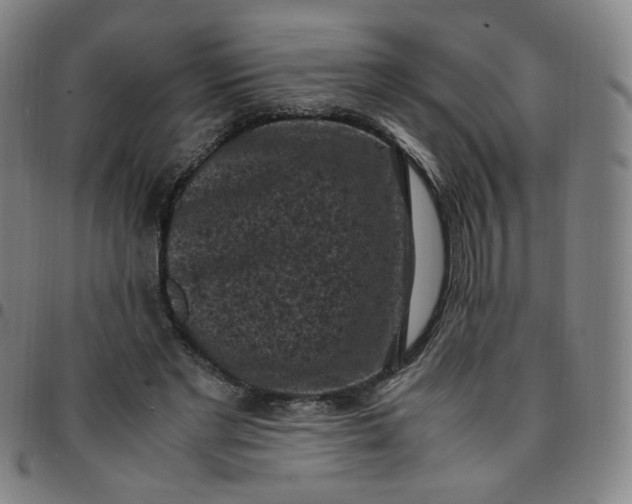 X0000097500493200803071805