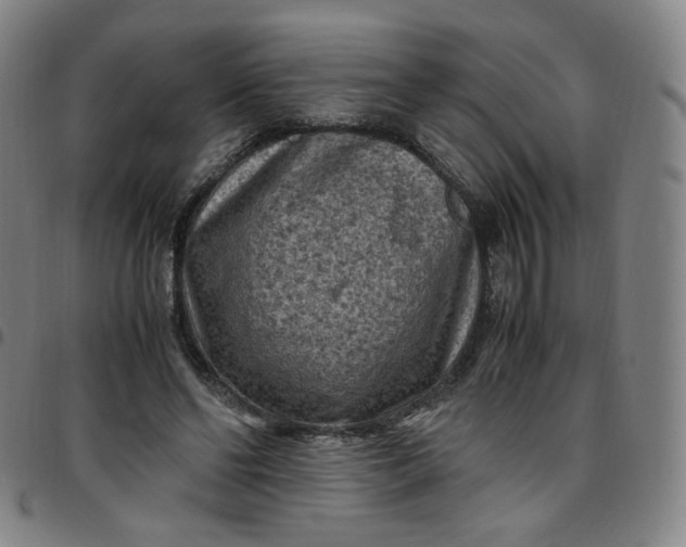 X0000097500494200803071805