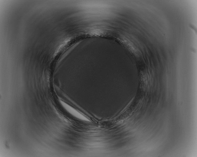 X0000097500496200803071805