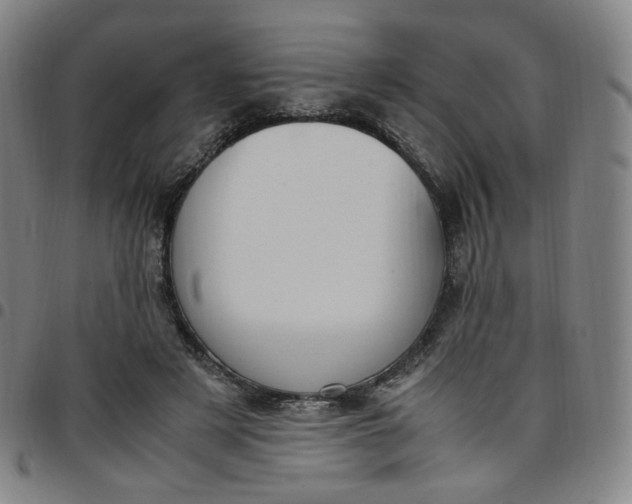 X0000097500497200803071805