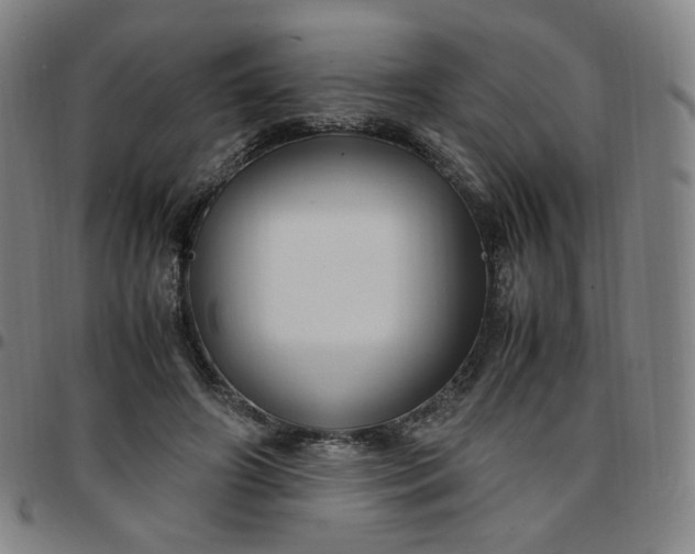 X0000097500498200803071805
