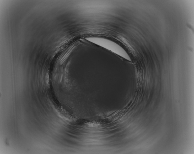 X0000097500500200803071805