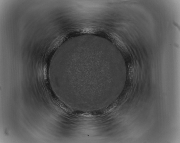 X0000097500502200803071805