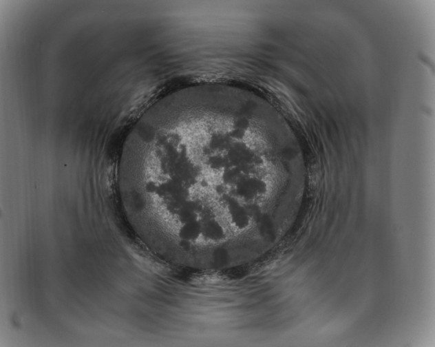 X0000097500503200803071805