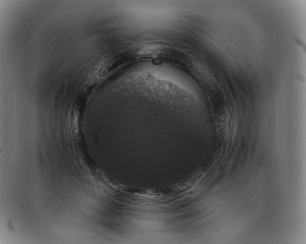 X0000097500504200803071805