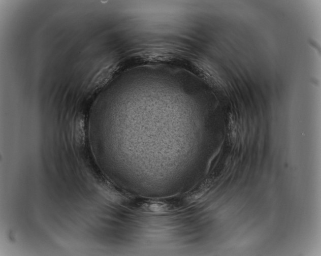 X0000097500506200803071805