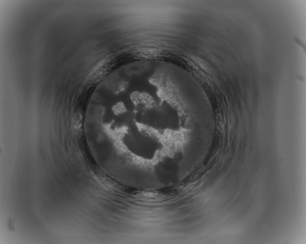 X0000097500507200803071805
