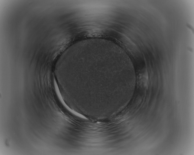 X0000097500508200803071805