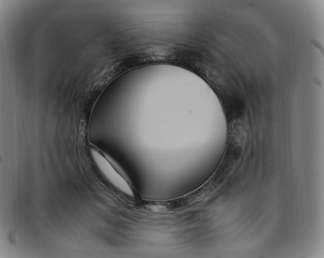X0000097500509200803071805