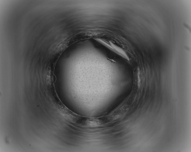 X0000097500510200803071805
