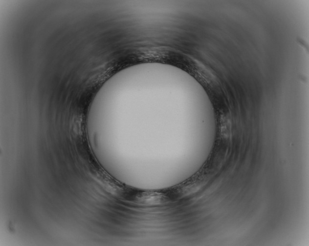 X0000097500514200803071805