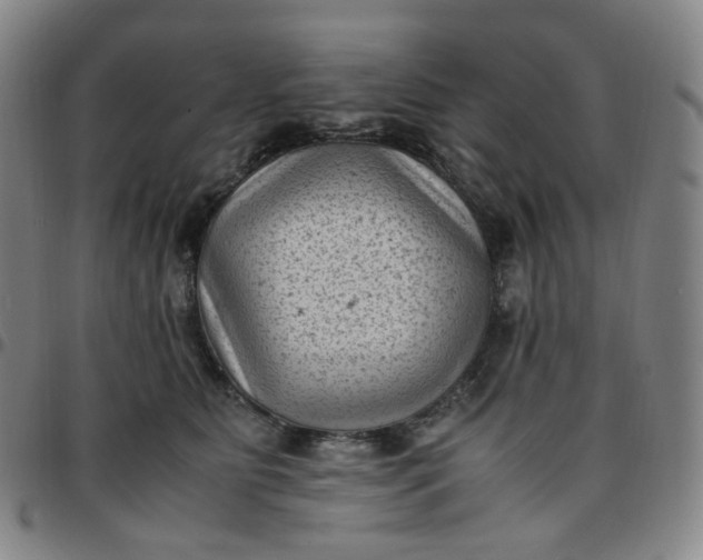 X0000097500515200803071805