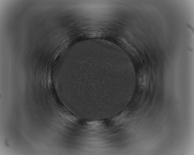 X0000097500516200803071805