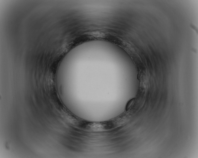 X0000097500518200803071805