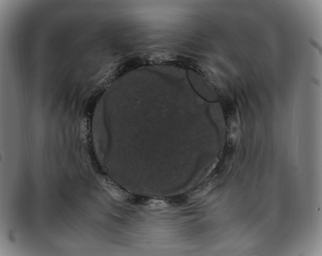 X0000097500519200803071805