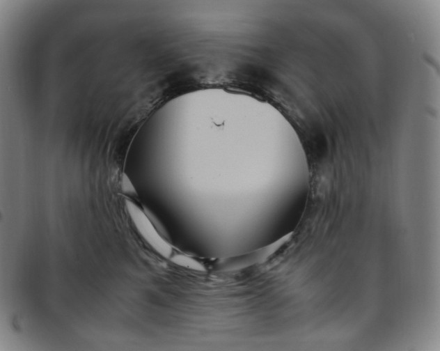 X0000097500521200803071805
