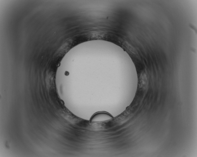 X0000097500522200803071805