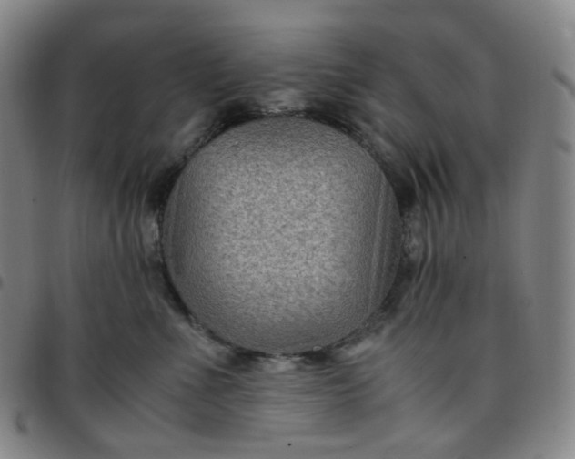 X0000097500523200803071805