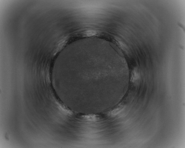 X0000097500524200803071805