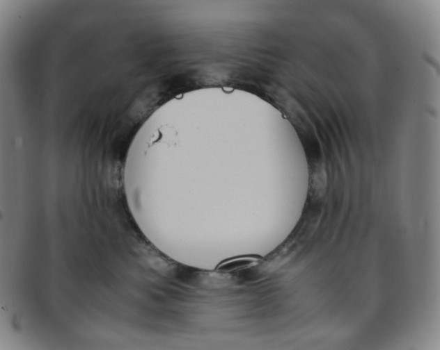 X0000097500525200803071805