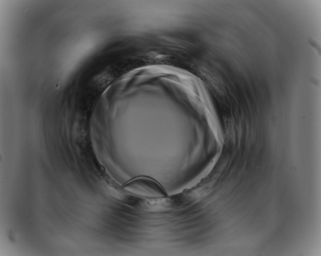 X0000097500526200803071805