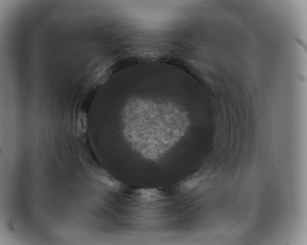 X0000097500528200803071805