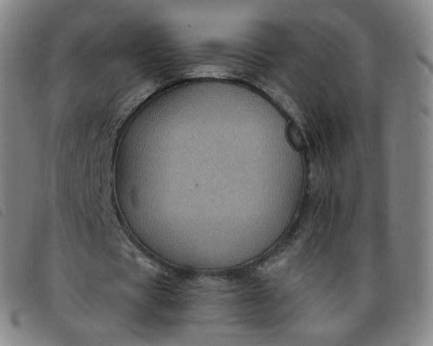 X0000097500529200803071804
