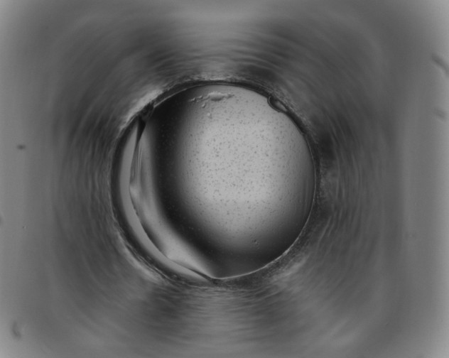X0000097500530200803071804