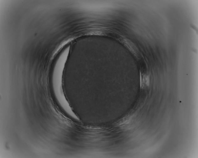 X0000097500531200803071804