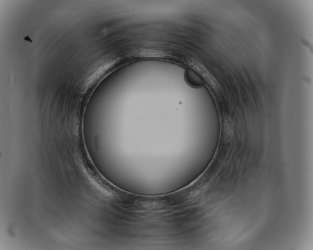 X0000097500533200803071804