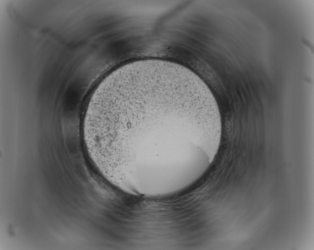 X0000097500534200803071804