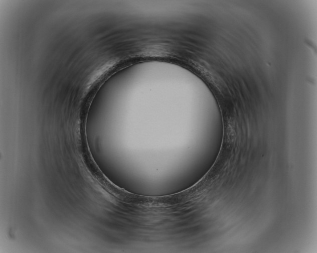 X0000097500535200803071804