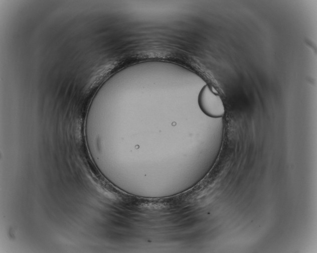 X0000097500537200803071804