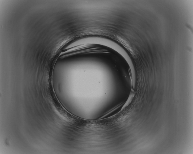 X0000097500538200803071804