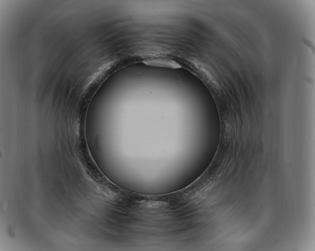 X0000097500539200803071804