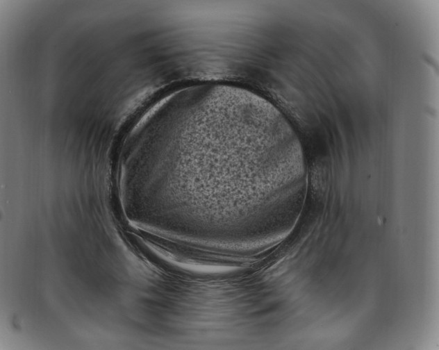 X0000097500540200803071804