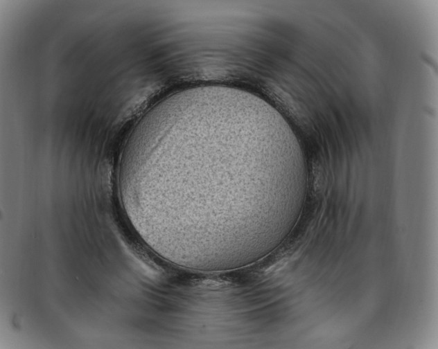 X0000097500542200803071804