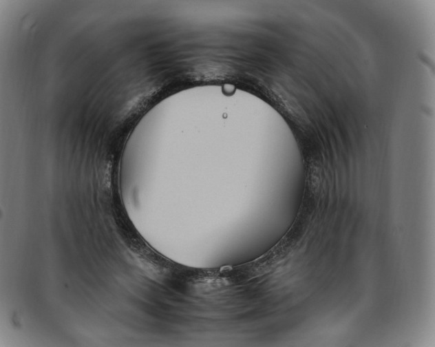 X0000097500543200803071804