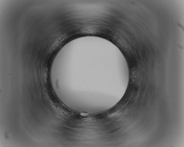 X0000097500544200803071804