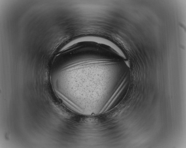 X0000097500546200803071804