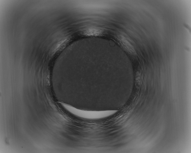 X0000097500547200803071804