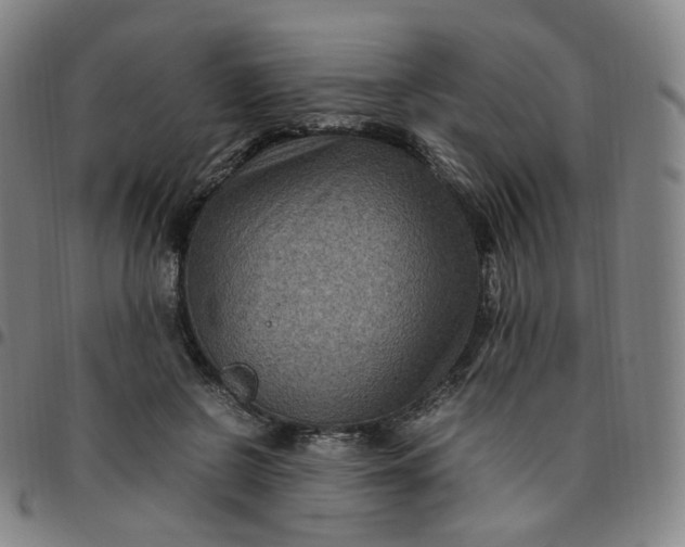 X0000097500550200803071804