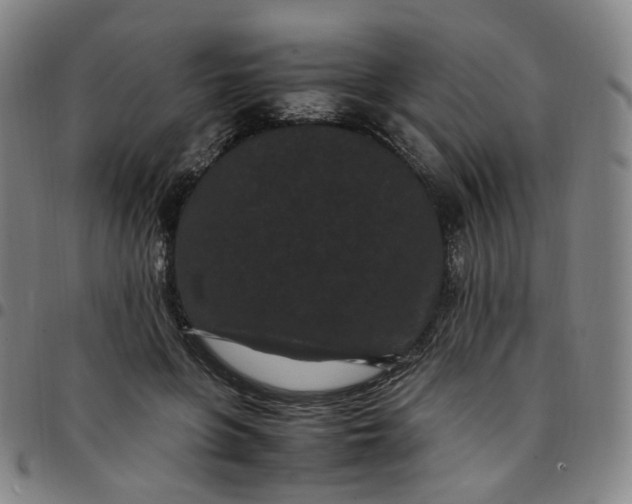 X0000097500551200803071804