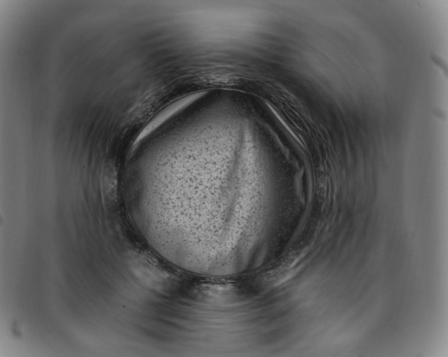 X0000097500552200803071804