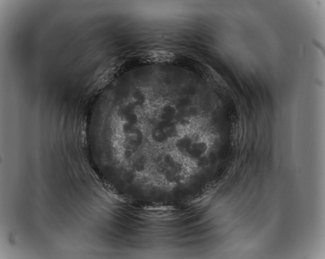 X0000097500553200803071804