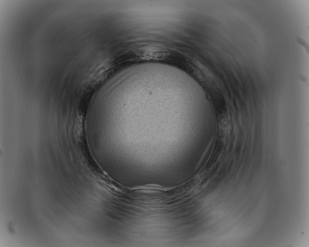 X0000097500554200803071804
