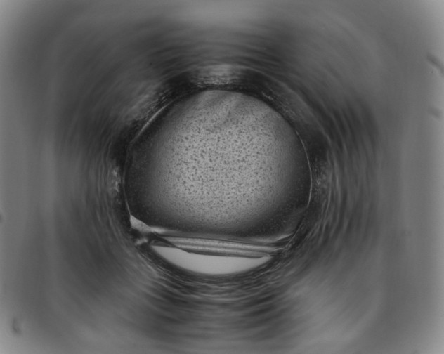 X0000097500555200803071805